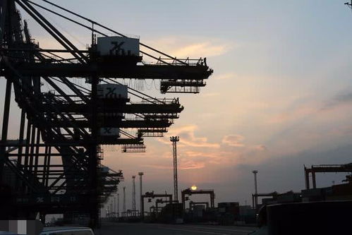 自动化工程 未来20年的智能时代“铁饭碗”